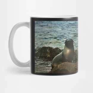 Baby Seal Cape Bridgewater Mug